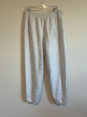 Offline By Aerie NWT Team USA Olympic Cozy Sweatpants Gray Size Large